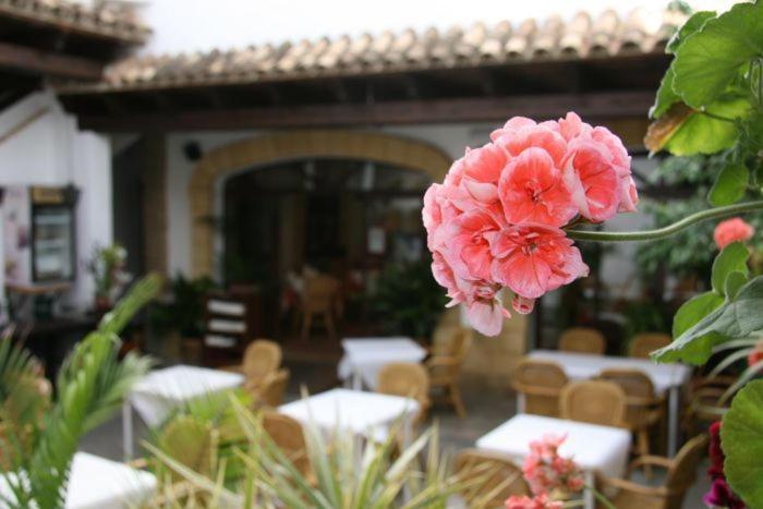 Hostal Torre De Guzman Conil De La Frontera Bagian luar foto